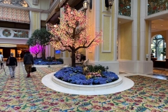 Picture taken by David, on his recent trip to Biloxi (from Greg)