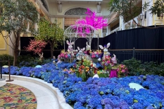 Picture taken by David, on his recent trip to Biloxi (from Greg)